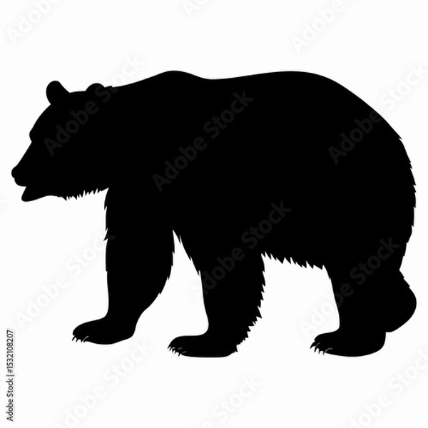 Obraz Silhouette of a Walking Bear Isolated on White Background
