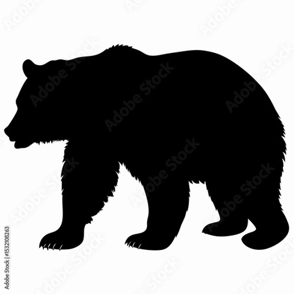Obraz Silhouette of a Walking Bear Isolated on White Background

