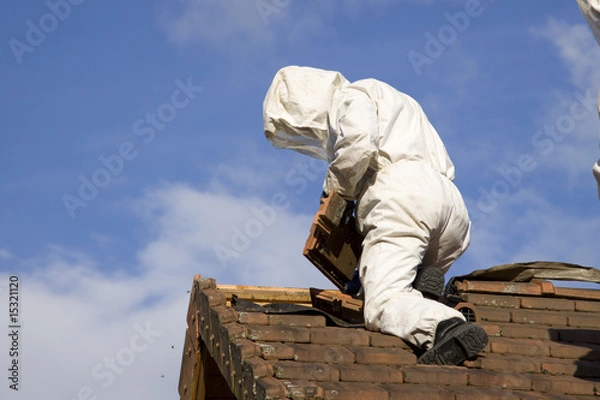 Obraz fireman and wasps' nest