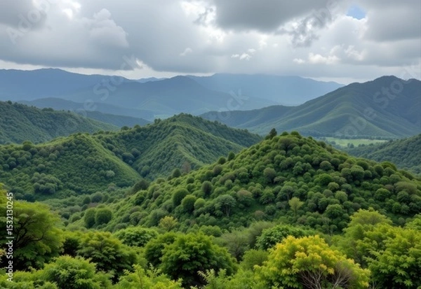 Obraz humidity fostering high biodiversity hotspots by supporting a wide range of plant species and ecological niches.