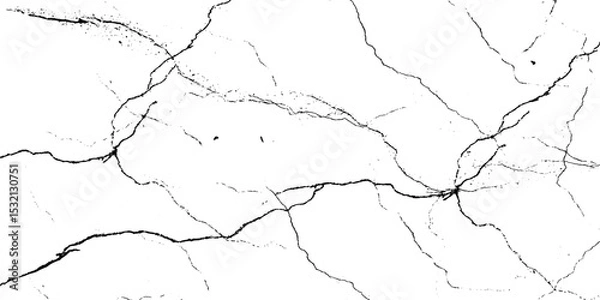 Fototapeta Vector abstract black and white background with a cracked grunge texture cracked wall texture grunge texture. Ground cracks background.