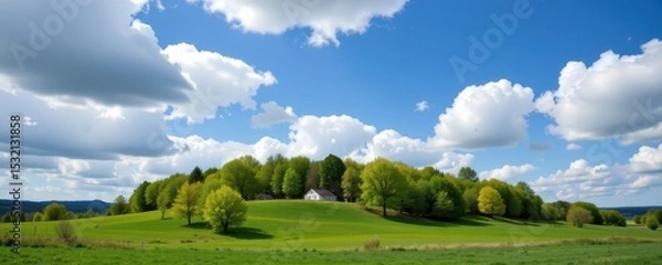 Obraz trees release volatile organic compounds during carbon cycling, impacting atmospheric chemistry and climate interactions.
