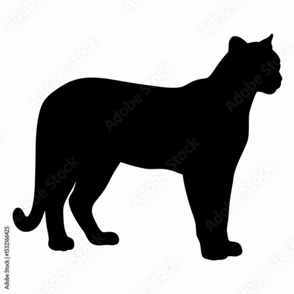 Obraz Silhouette of a Walking Panther Isolated on White Background
