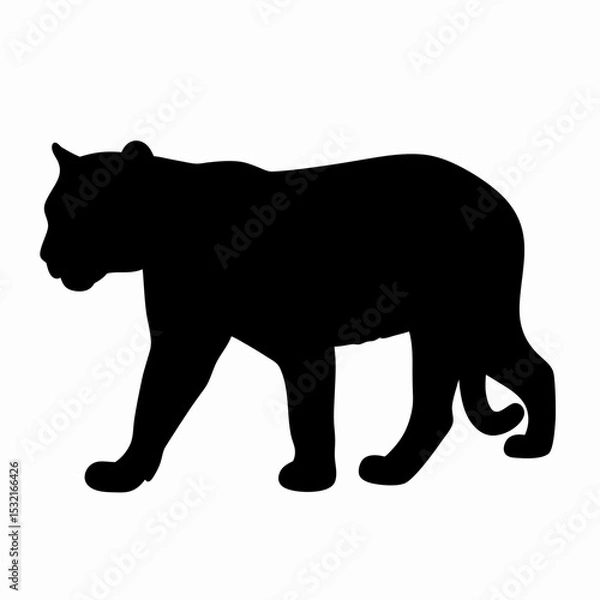 Obraz Silhouette of a Walking Panther Isolated on White Background
