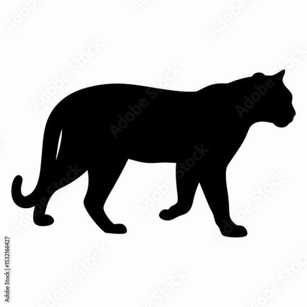 Obraz Silhouette of a Walking Panther Isolated on White Background
