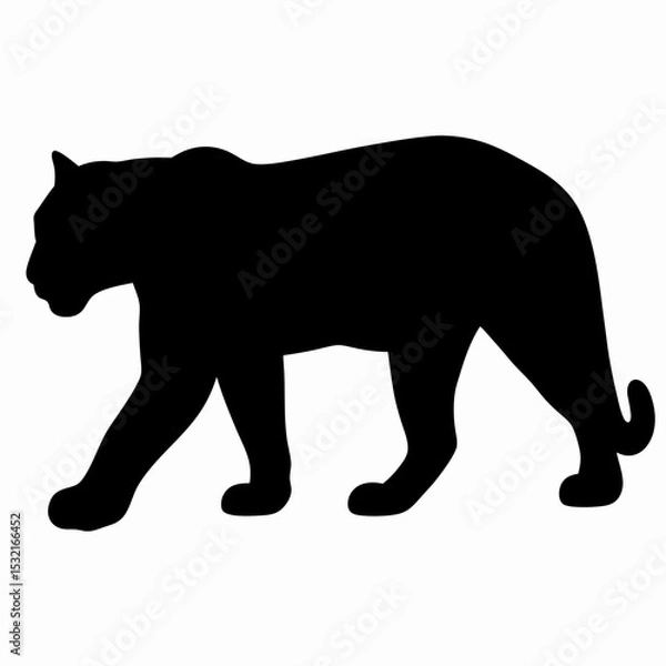 Obraz Silhouette of a Walking Panther Isolated on White Background

