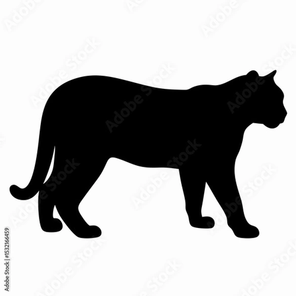 Obraz Silhouette of a Walking Panther Isolated on White Background
