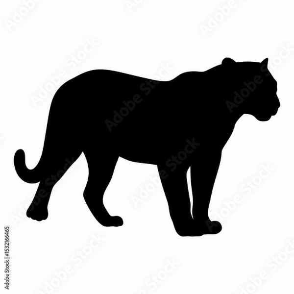 Obraz Silhouette of a Walking Panther Isolated on White Background
