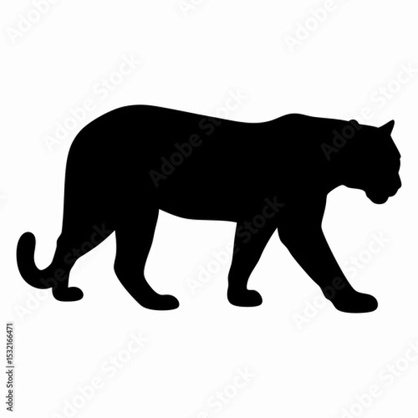 Obraz Silhouette of a Walking Panther Isolated on White Background
