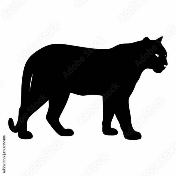Obraz Silhouette of a Walking Panther Isolated on White Background
