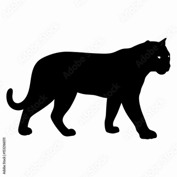 Obraz Silhouette of a Walking Panther Isolated on White Background
