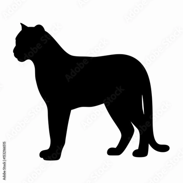 Obraz Silhouette of a Walking Panther Isolated on White Background
