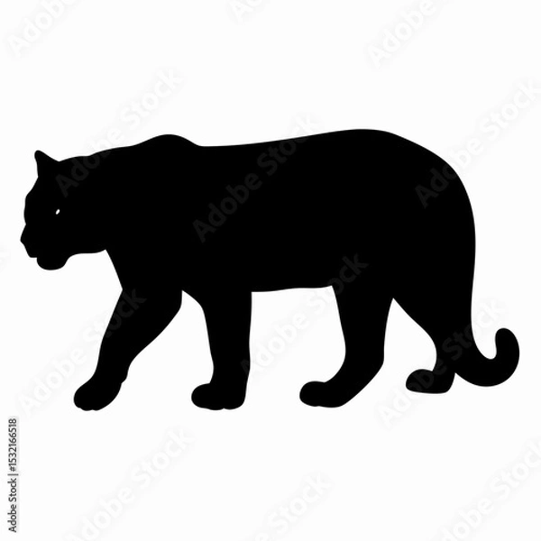 Obraz Silhouette of a Walking Panther Isolated on White Background
