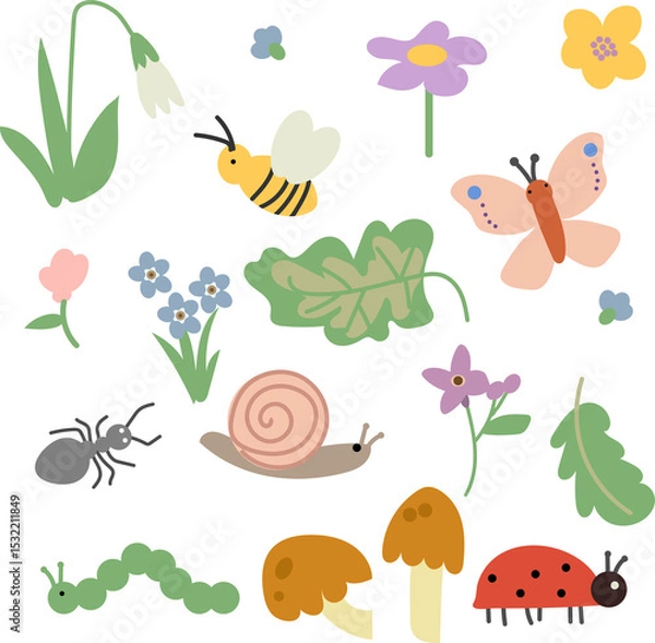 Obraz Various flowers	
