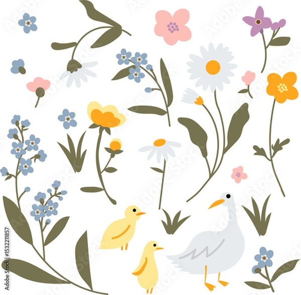 Obraz Various flowers	
