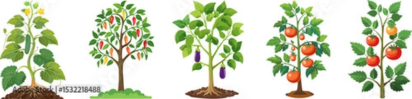 Obraz Vibrant illustrations of various fruit and vegetable plants, showcasing the beauty of nature and the bounty of the harvest. They represent diverse, nutritious crops.