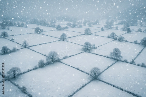 Fototapeta Snow-Covered Fair Meadows – Aerial Winter Landscape with Scenic Snowfall and Frozen Fields

