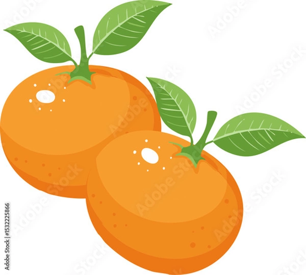 Obraz Two fresh, juicy oranges with vibrant green leaves
