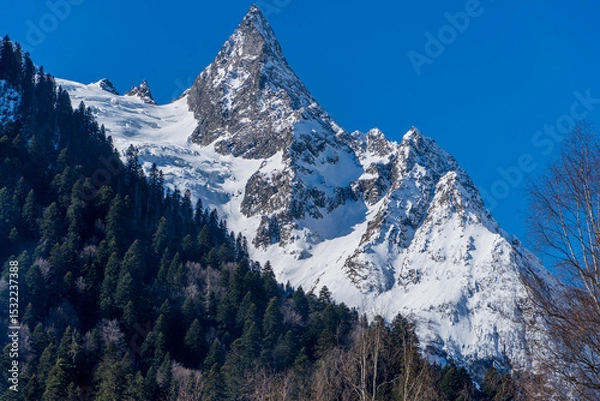 Fototapeta Majestic snow-capped mountain peaks towers above dense forest, contrasting against clear blue sky, showcasing nature's grandeur and tranquility.Karachay-Cherkessia. Dombay 2025.