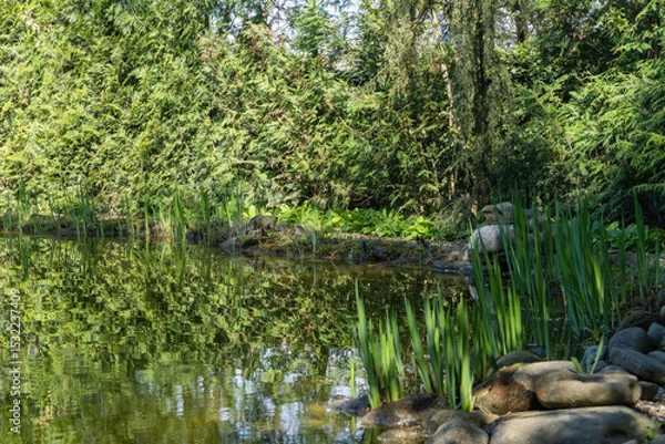 Fototapeta Serene pond surrounded by lush greenery, with tall grasses and rocks lining its edge, reflecting tranquil beauty of nature. Nature concept for spring design.