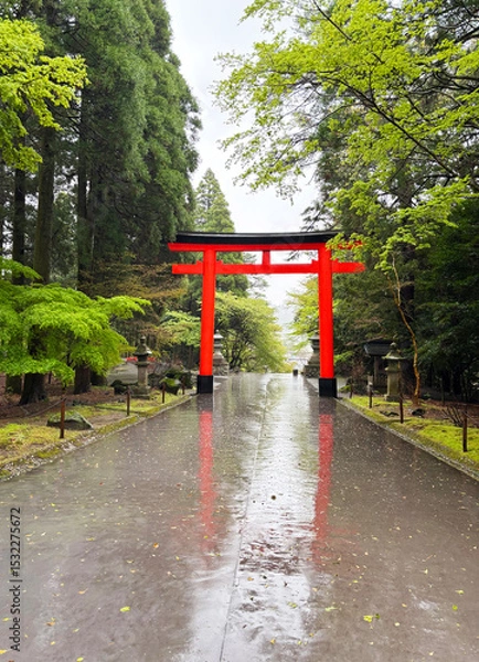 Obraz 新緑と雨の中の赤い鳥居　鹿児島の霧島神宮