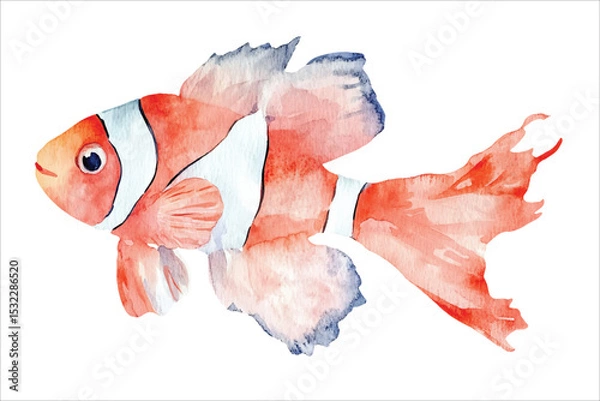 Fototapeta shark watercolor vector illustration, underwater ocean animal art isolated on white background