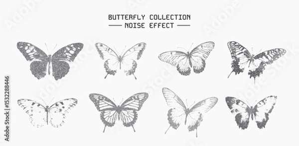 Fototapeta Collection of noisy grayscale butterfly illustrations with noise texture effect, ideal for vintage designs, prints, and nature artwork