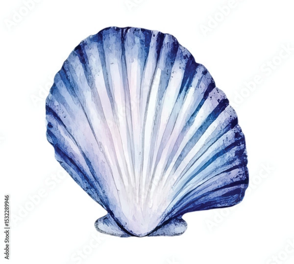 Fototapeta Seashells watercolor vector illustration set, underwater ocean animal art isolated on white background