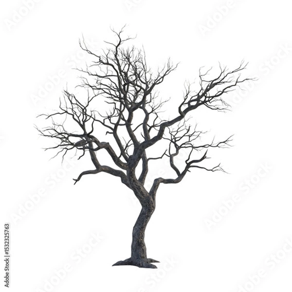 Obraz Bare Winter Tree Monochrome Illustration of a Leafless Tree