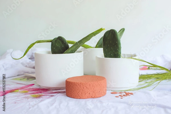 Fototapeta Minimalist indoor plants in white pots with green cactus and decorative elements create serene atmosphere. earthy tones and textures enhance natural beauty of arrangement