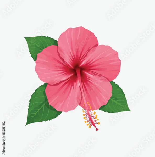 Obraz Image is a digital illustration featuring a vibrant pink hibiscus flower with five large petals. The petals are detailed with lighter pink highlights and subtle shading, giving them a three-dimension