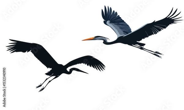 Obraz Silhouette of a heron flying vector wildlife nature graphic design