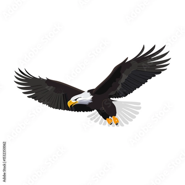 Obraz flying seagull wildlife vector animal design