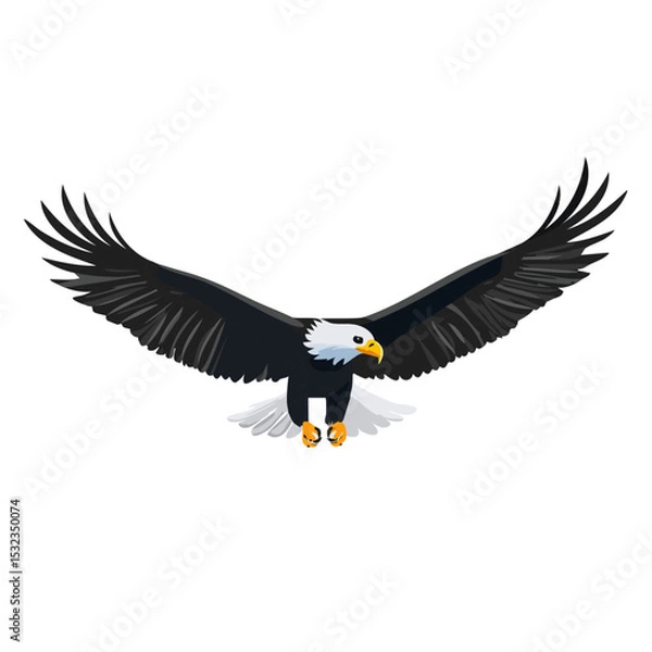 Obraz flying american bald eagle wildlife vector animal design