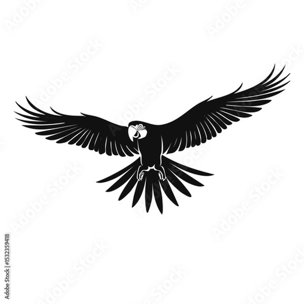 Obraz black silhouette of a macaw parrot vector animal graphic design