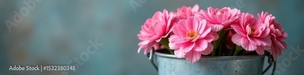 Obraz Vibrant pink carnations overflowing from a galvanized zinc bucket Happy Mother's Day message implied , mothers day, detail