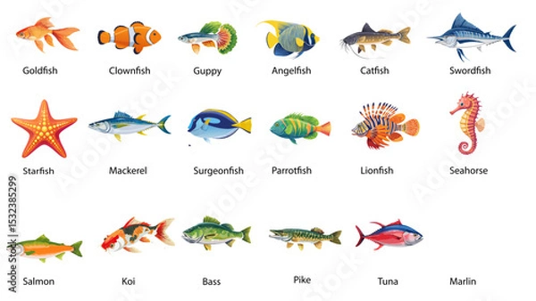 Fototapeta Colorful Fish and Sea Animal Vector Set – Educational Chart with Names