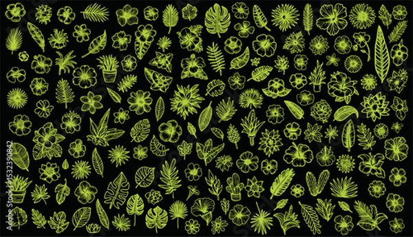 Fototapeta Tropical Leaves in doodle style. Vector hand drawn black line design elements. Exotic summer botanical illustrations. Monstera leaves, palm, banana leaf,flower.