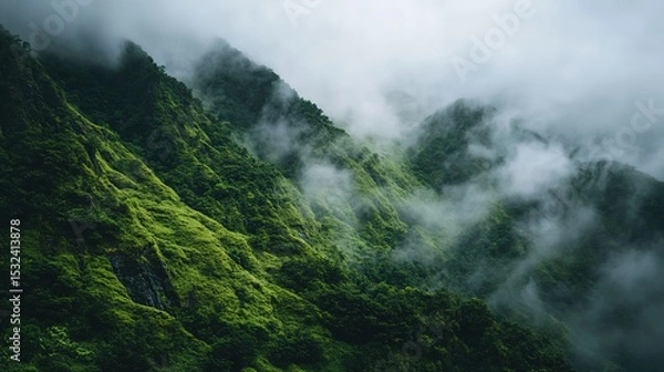 Fototapeta Mist envelops lush green forested mountains, creating a mysterious and serene atmosphere in this natural landscape.