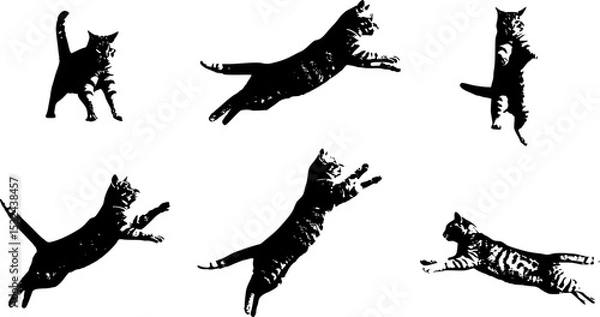Fototapeta Cat Jumping High in the Sky, Capturing a Moment of Playful Agility and Grace, Set Against a Clear Blue Backdrop
