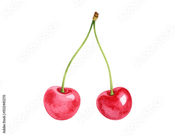 Fototapeta サクランボの水彩風イラスト素材