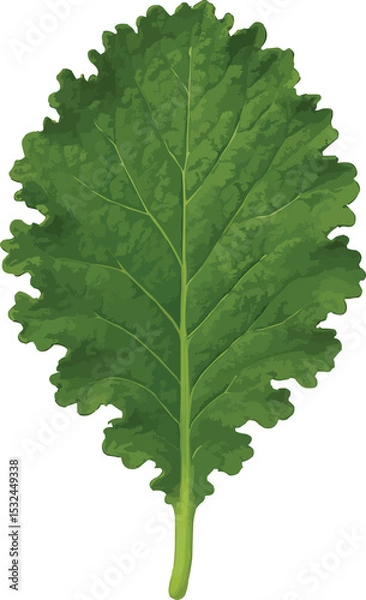 Obraz 3D Mustard Leaf: Bold, Textured, and Naturally Curled