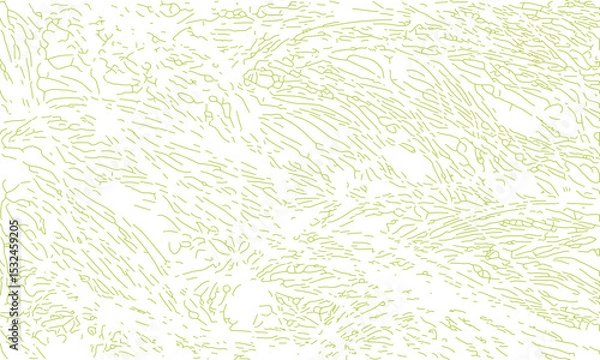 Obraz Line art pattern texture vector illustration green lines, grass lines