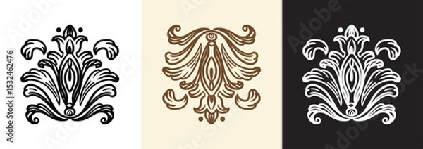 Fototapeta Calligraphy swirl ornate design elements vector illustration