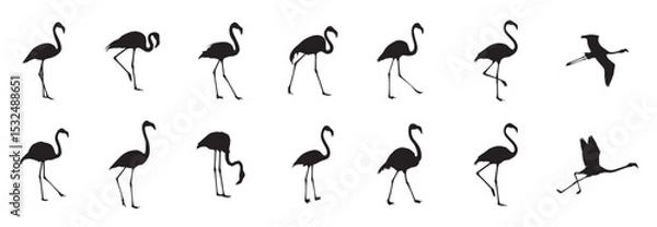 Obraz Elegant silhouettes of flamingos in various poses, perfect for minimalist design or nature-themed projects. These graceful birds showcase, Set of flamingos silhouettes drawing on a white background.