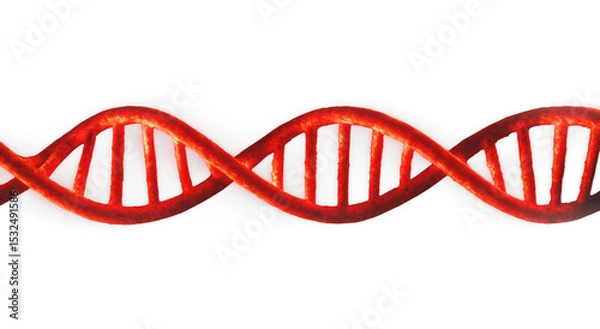Fototapeta Horizontal Red DNA Helix on Transparent Background