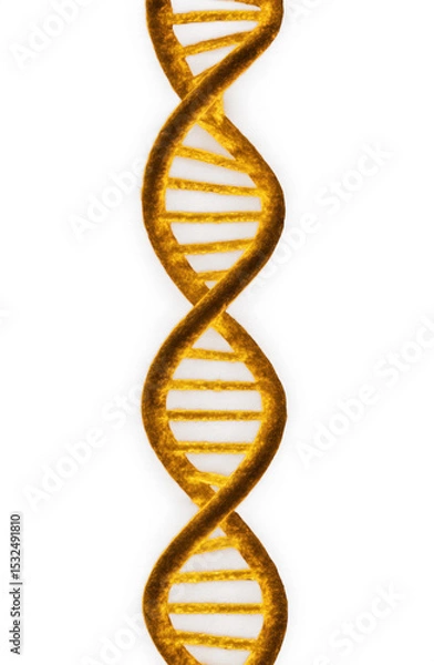 Fototapeta Golden Brown DNA Helix on Transparent Background