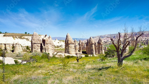Obraz Eroded fairy chimney rock formations and sparse trees in Love Valley, Cappadocia, Turkey. Unique geological structures under blue sky on sunny day, stunning Cappadocia scenery.