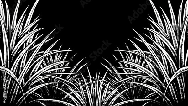 Fototapeta tree leaves in silhouette with abstract light