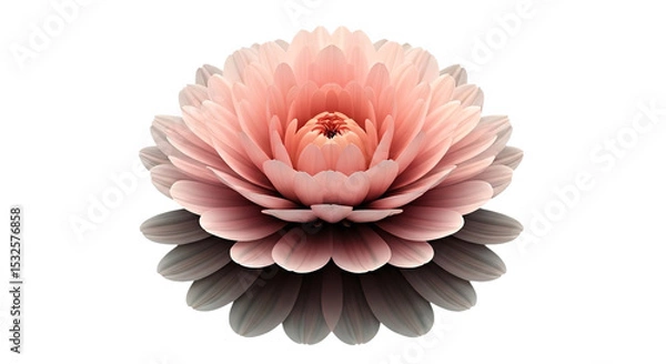 Fototapeta A close up of a pink and gray flower with many petals on a white background in soft focus style
